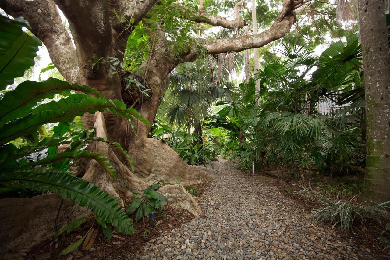 מישן ביץ' Rainforest Castaways Resort And Spa מראה חיצוני תמונה